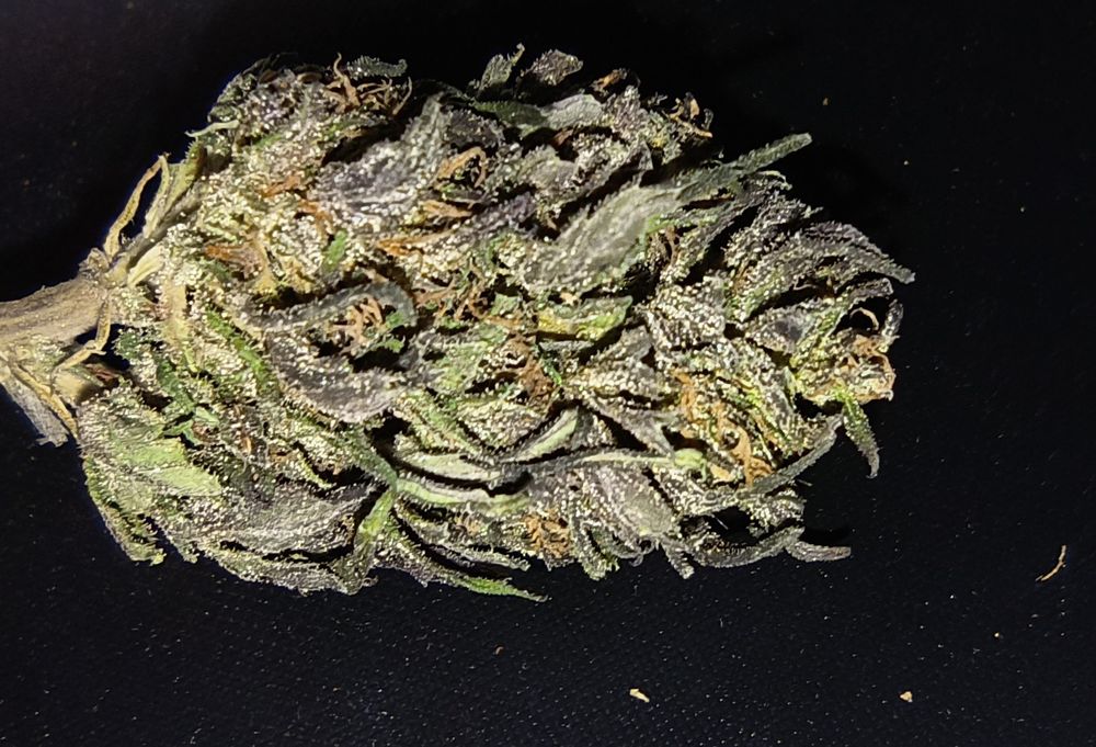 Legalny susz CBD 12.21% NATURALNY  50g