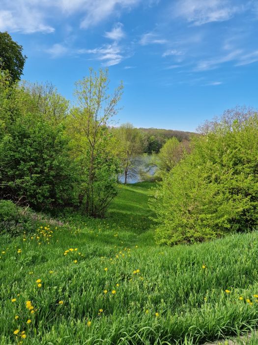 Будинок на першій лінії ставка