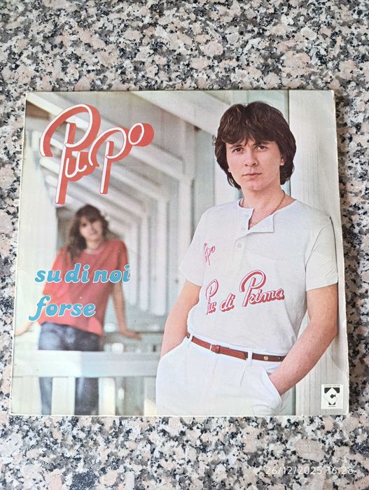 Discos de vinil de 33 tours