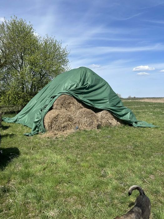 Siano, słoma w belach