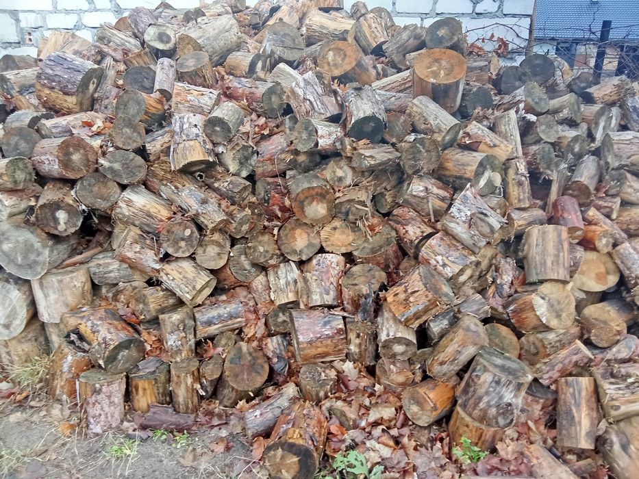 Drewno opałowe sosna