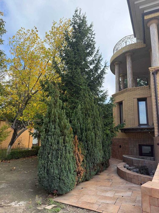 Продаётся добротный дом у моря! Участок 10 соток! Царское село. 1L55