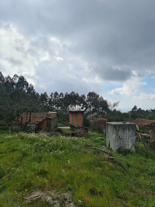 Quinta Agrícola a 5 minutos da A25