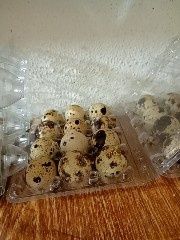 Ovos de codorniz