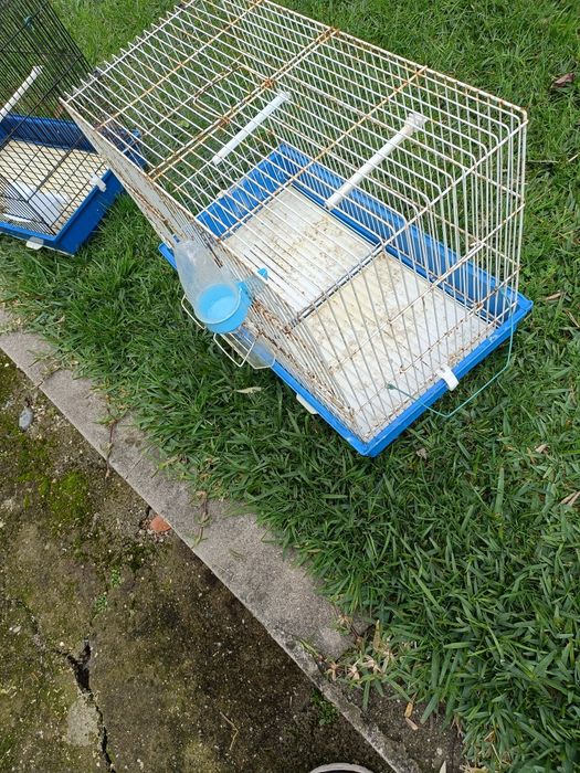 Gaiolas para aves