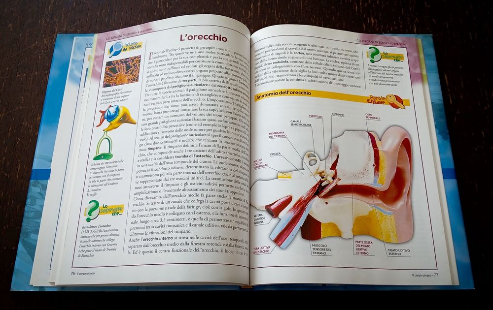 Livro IL CORPO UMANO Grande Atlante di Anatomia