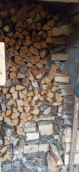 Drzewo drewno na opał. Suche.