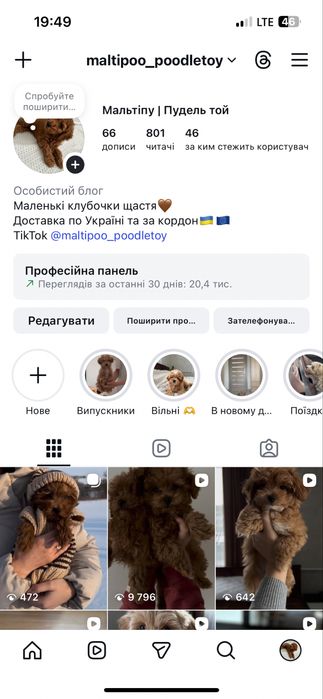 Дівчинка Мальтіпушка з доставкою за кордон