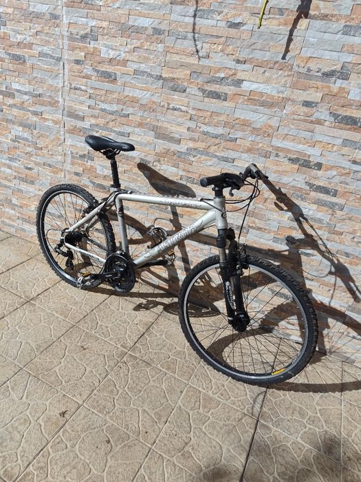 Bicicleta Viper Astro
