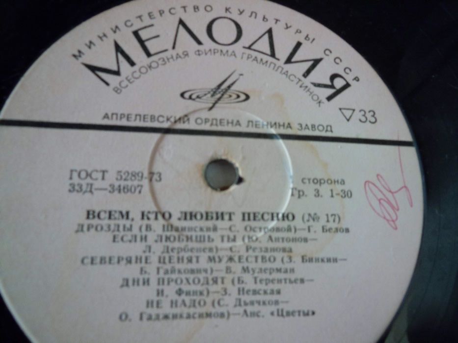 Виниловая пластинка