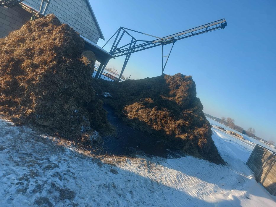 Sprzedam/Zamienie Obornik Bydlecy