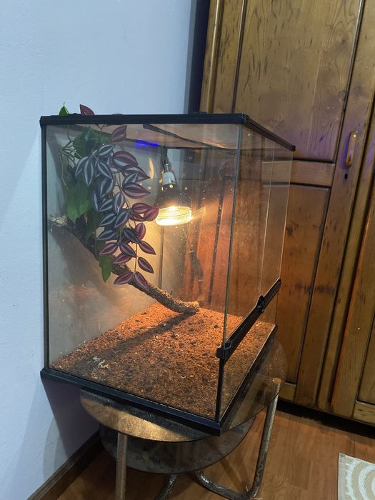 Trrario em bom estado (ler descrição)