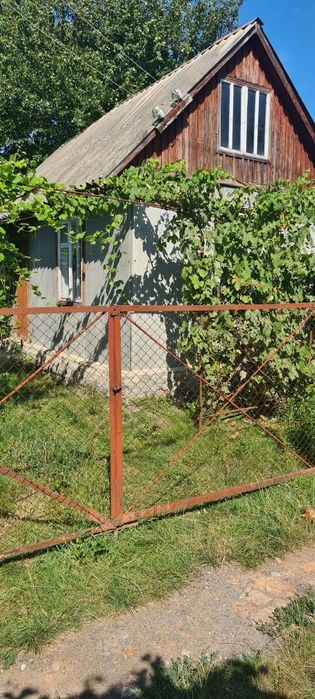 Продам дачу в с. Патлаївка біля р. Ворскла.