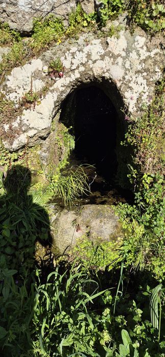Moradia em Granito com Terreno (+2000m²), Lagar e Água Própria — Resende