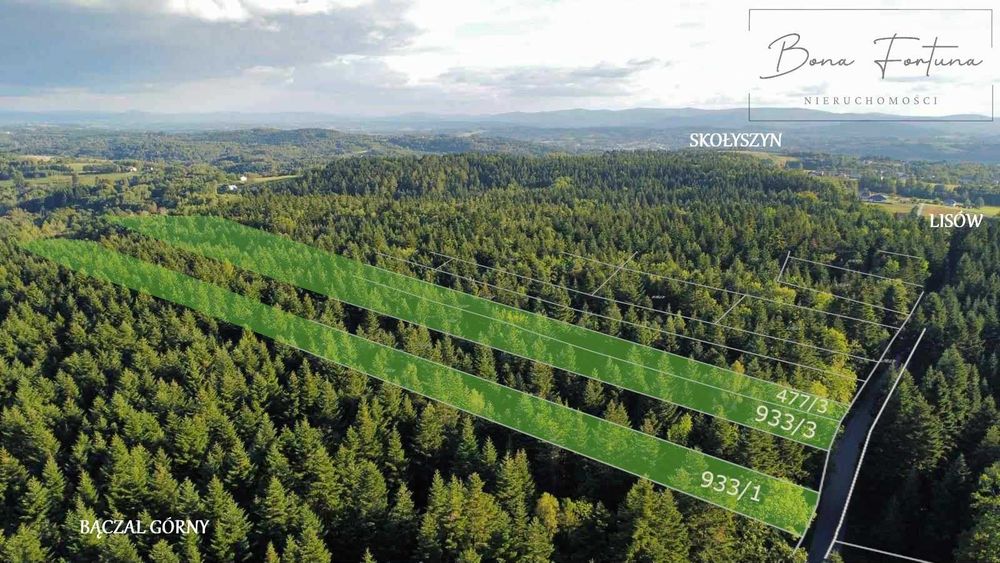 Działki leśne (jodła) w Bączalu Górnym 0,8054 - 1,3351 ha