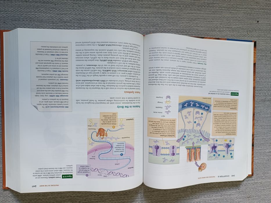 Livro técnico Nutrição