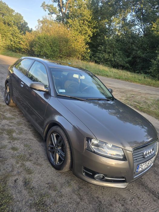 Audi A3 3-drzwiowe Audi A3 8P 2.0 TDI Quattro 170 KM 3D – Zadbany Egzemplarz