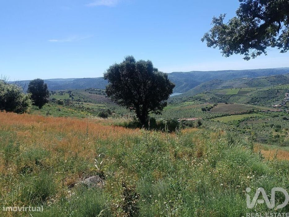 Terreno em Freixo de Espada à Cinta e Mazouco de 49572,00 m2