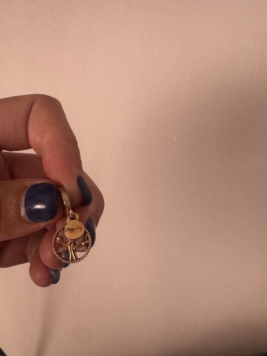 Pulseira, pendente e charme