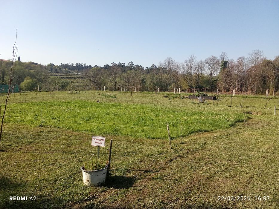 terreno pomar 3100 m2