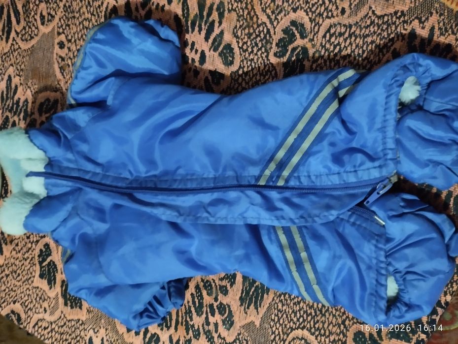 Одяг для собачок