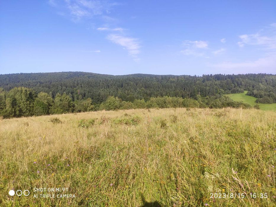 sprzedam działkę w Bieszczadach - View 6