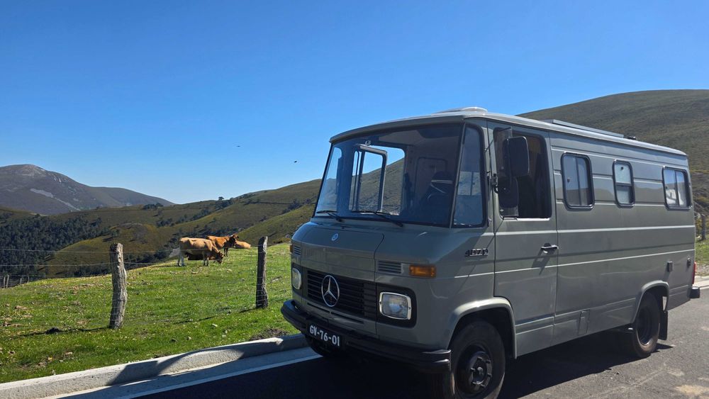Mercedes 407D Dudo — photo 4