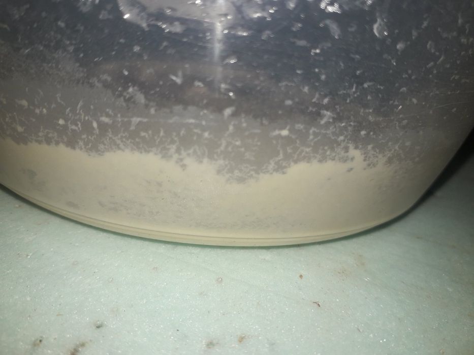 Корм для мальков нематода.