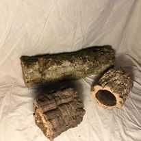 vasos de cortiça natural.