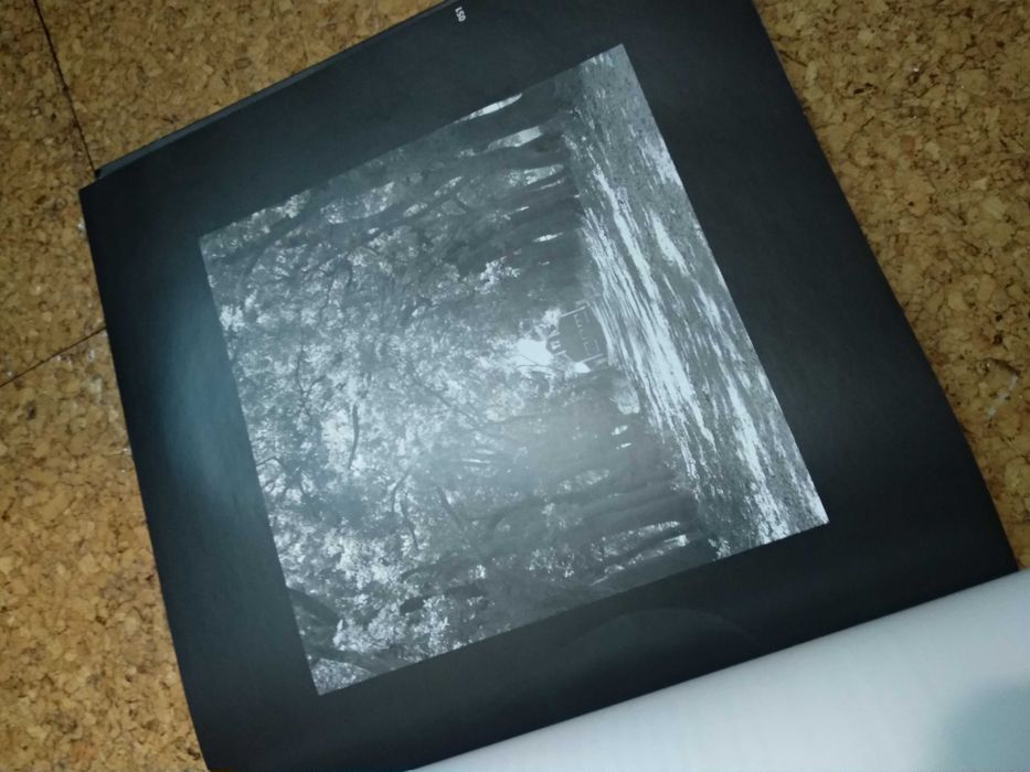 Livro Sinfonia das palavras (íntimas)