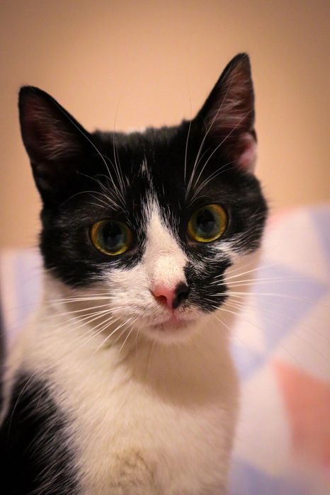 Czy ktoś mnie pokocha?