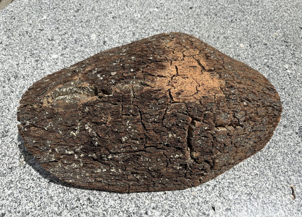 Fruteira de cortiça