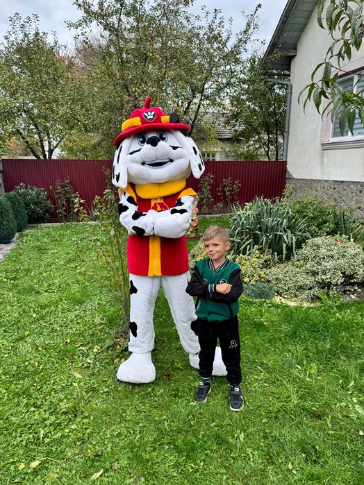 Сонік,Білий Ведмідь Аніматор,Гонщик,Скай,Щенячий патруль,Солодка вата