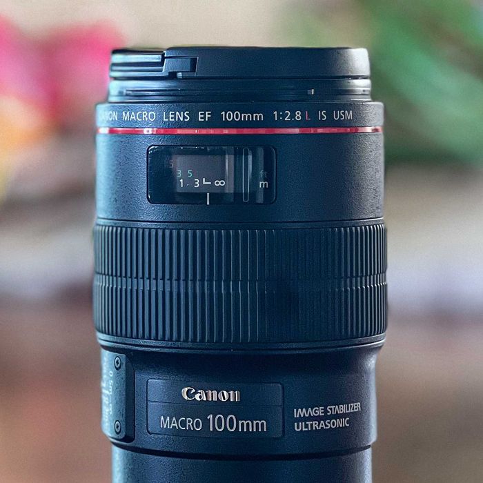 Canon EF 100mm f/2.8 L IS USM C/ Nova