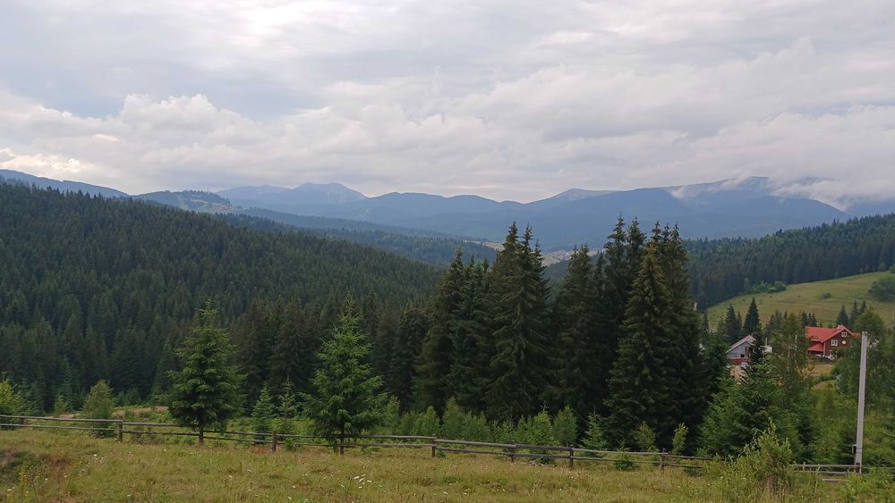 Продаж ексклюзивної земельної ділянки 2 Га в Карпатах із панорамою на Говерлу та Петрос