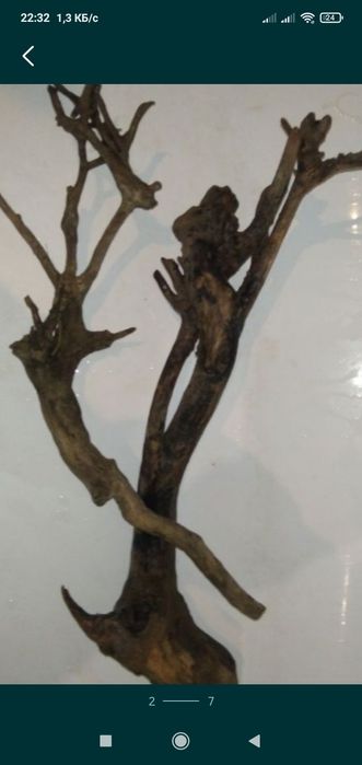 Коряги в аквариум, терариум