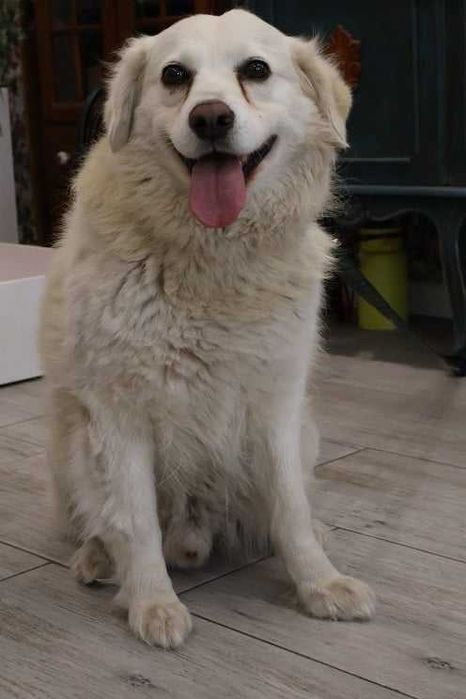 Barbi i Gonzo - szukamy im domu