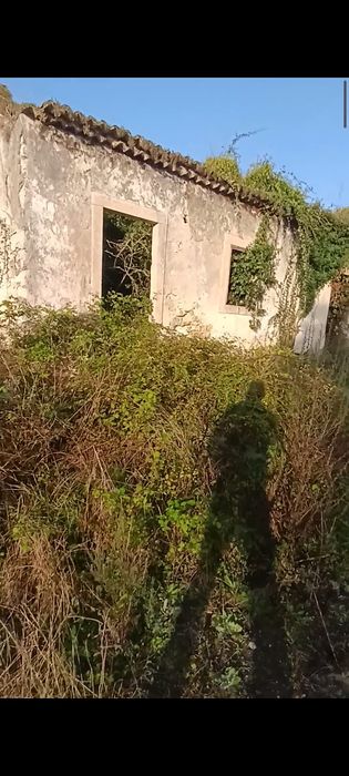 Serviço limpeza terreno/jardins