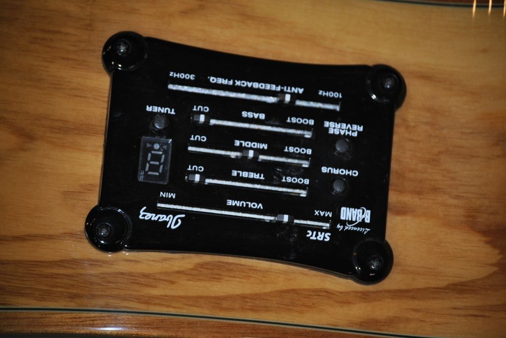 Ibanez EW35abe exotic wood (linda)