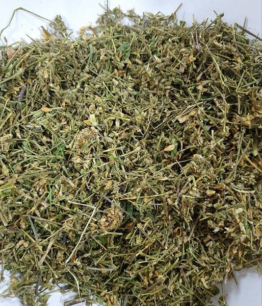 Звездчатка середня мокрець , талабан  ярутка