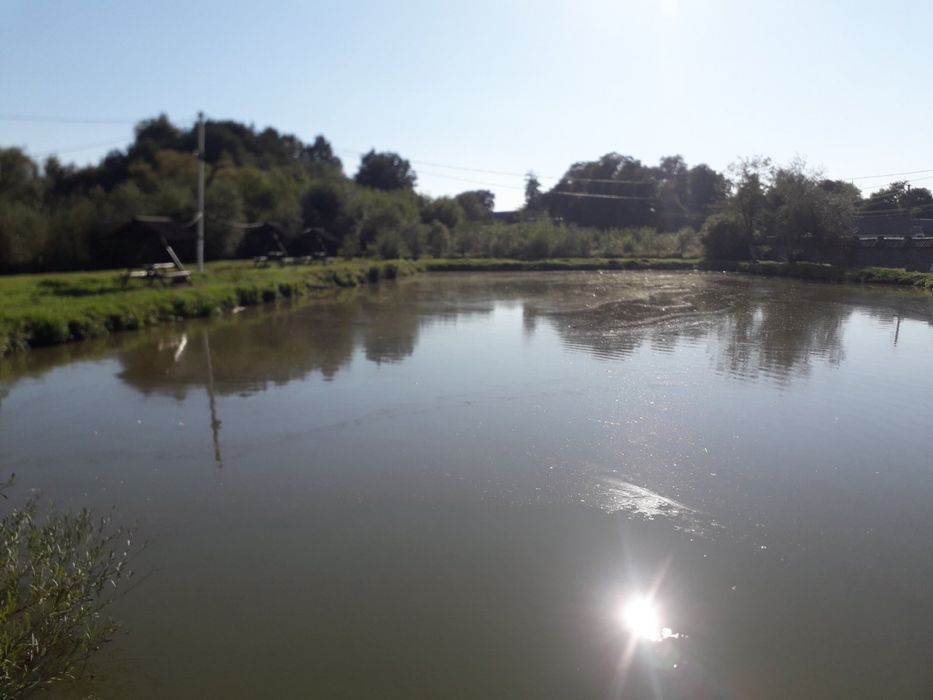 Продам Кафе -Колиба У Карпатах