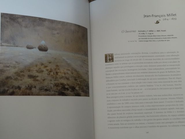 Pintura de Maria Helena Soares Costa