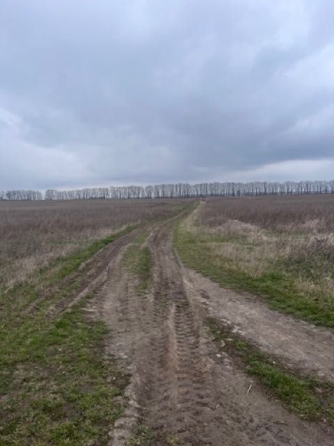 Продаж земельної ділянки в Агрономічному