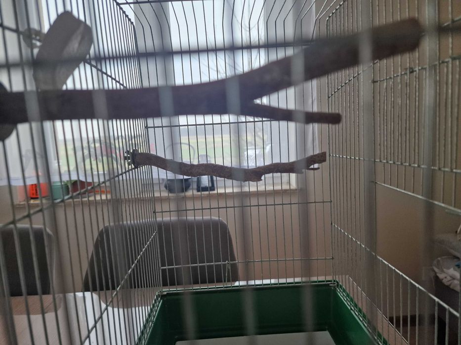 Używana klatka dla ptaka