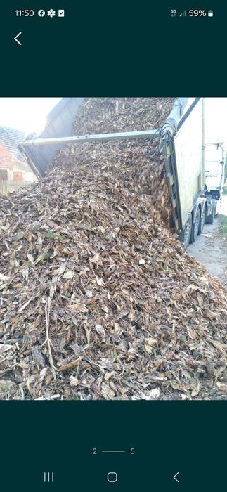 Kora sosnowa ozdobna workowana najtaniej