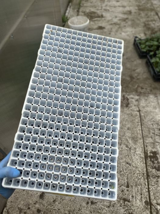 multiplaty 30 x 54 360 oczek 300 szt
