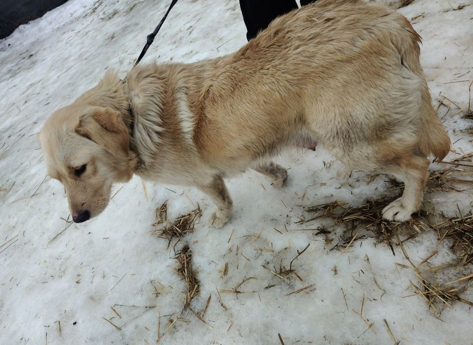 Czyja zguba? Sandomierz