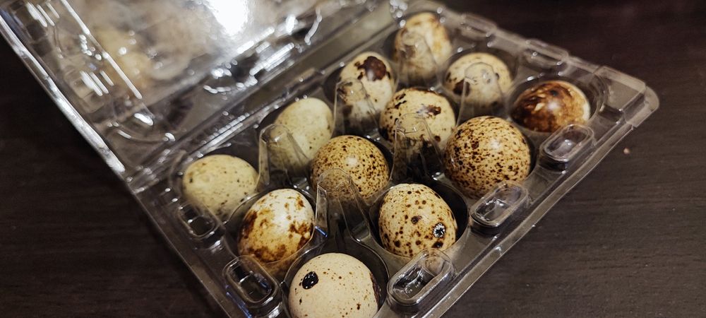 Ovos codorniz caseiros