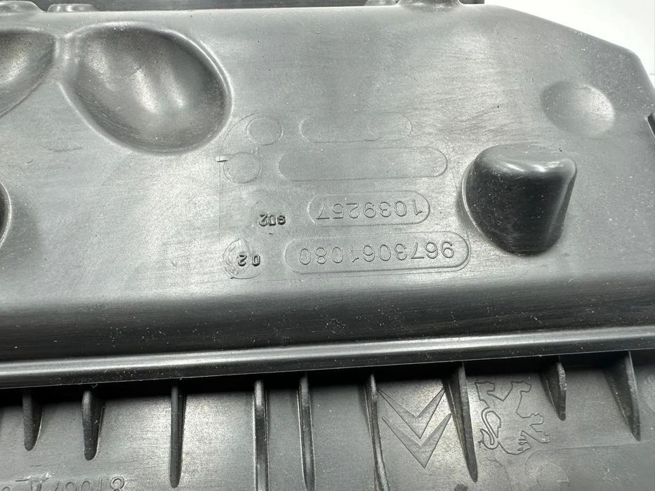 Caixa Filtro Ar - Peugeot / Citroen (2016)