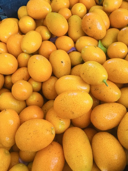 Kumquats ou laranjinha anã